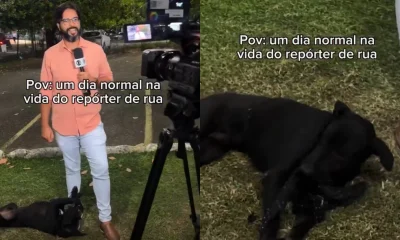 Cão que invadiu reportagem da Globo reencontra tutora após um mês desaparecido