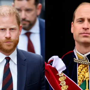 Harry planeja filme sobre Diana e irrita William, aponta especialista