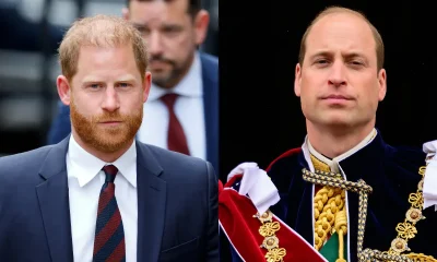 Harry planeja filme sobre Diana e irrita William, aponta especialista
