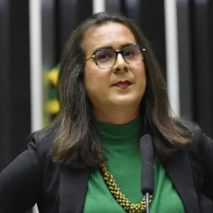 Duda Salabert relata tentativa de homicídio em MG durante fiscalização contra mineração ilegal