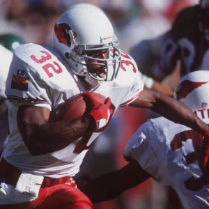 Ex-astro da NFL LeShon Johnson é condenado a 5 anos de prisão por envolvimento em rede de rinha de cães que causou mortes