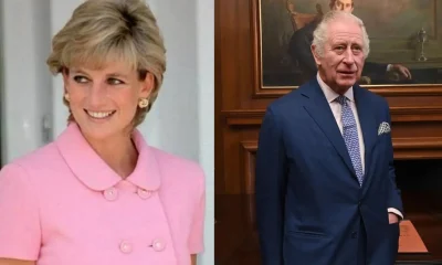 Irmão de Diana rebate Palácio de Buckingham e reafirma fala de Charles: 'Exatamente essas palavras'
