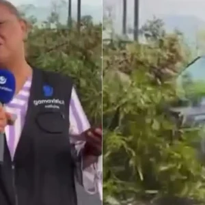 Repórter e cinegrafista são atropelados durante transmissão ao vivo no México; vídeo choca