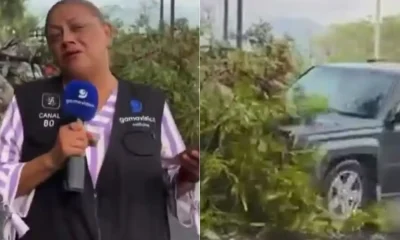 Repórter e cinegrafista são atropelados durante transmissão ao vivo no México; vídeo choca