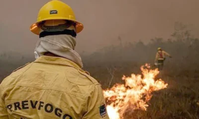 Fumaça de Incêndios no Amazonas Paralisa Combate Aéreo, Aeronaves de Combate ao Fogo Impedidas de Voar