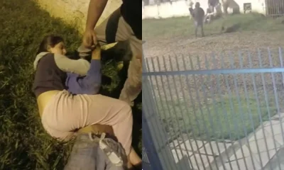Adolescente de 14 anos imobiliza suspeito de furto com mata-leão em SC