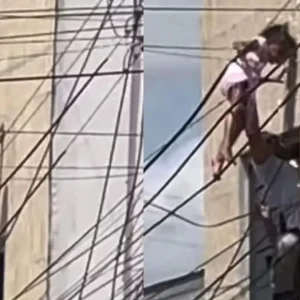 Herói Inesperado: Policial Resgata Criança Pendurada em Fios Elétricos em AL