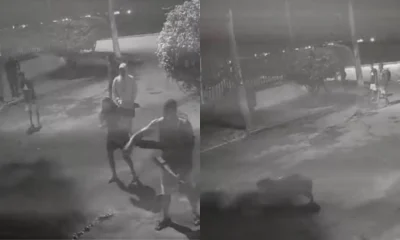 Chocante: Capivara espancada por 8 pessoas no Rio de Janeiro, imagens revelam crueldade e suspeitos são presos