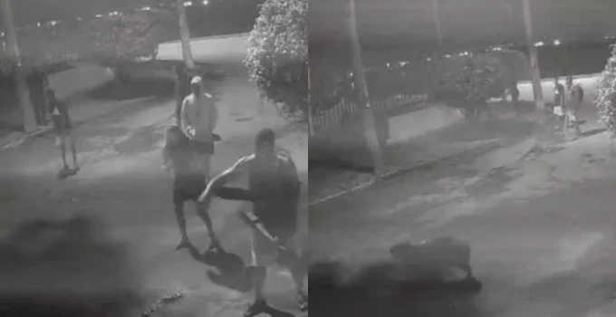 Chocante: Capivara espancada por 8 pessoas no Rio de Janeiro, imagens revelam crueldade e suspeitos são presos