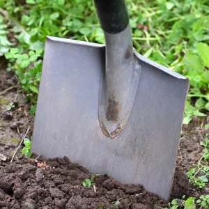 Homem cava quintal de casa recém-alugada em SC e faz descoberta macabra: ossada em caixão enterrado
