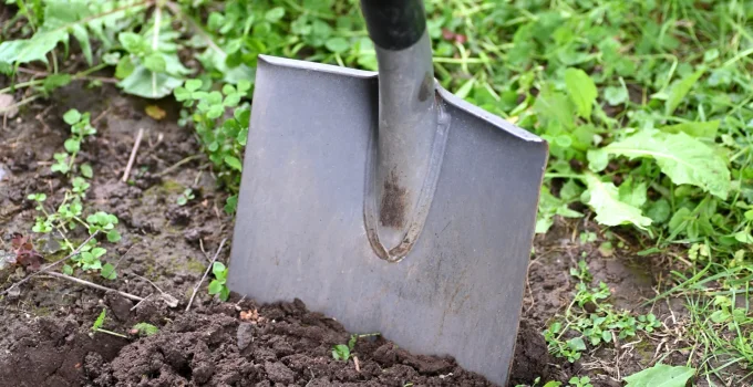 Homem cava quintal de casa recém-alugada em SC e faz descoberta macabra: ossada em caixão enterrado
