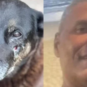 Indiciado por Coação no Caso Orelha Morre de Infarto em Florianópolis; Família Revela Causa da Morte