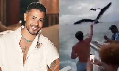 Carlinhos Maia Multado em R$ 1 Milhão por Alimentar Aves em Noronha; Influencer Contesta: 'Absurdo Fora da Realidade!'