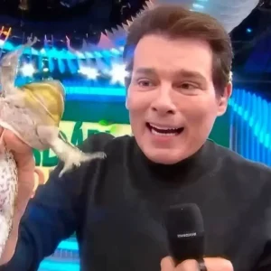 Justiça de SP proíbe SBT de usar animais silvestres após cena chocante de Celso Portiolli com rã em quadro polêmico