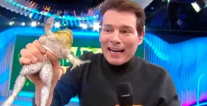 Justiça de SP proíbe SBT de usar animais silvestres após cena chocante de Celso Portiolli com rã em quadro polêmico