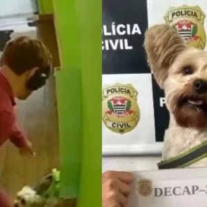 Homem com máscara realista furta cachorro da ex em pet shop de SP, é preso e disfarce viraliza