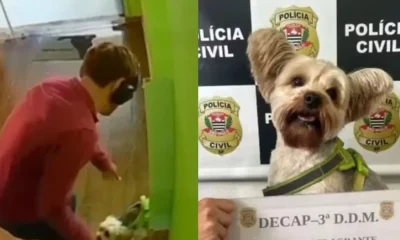 Homem com máscara realista furta cachorro da ex em pet shop de SP, é preso e disfarce viraliza