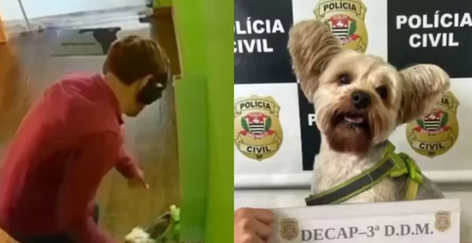Homem com máscara realista furta cachorro da ex em pet shop de SP, é preso e disfarce viraliza
