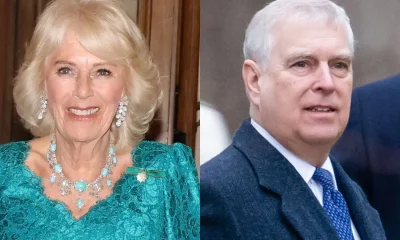 Rainha Camilla: A "Justiceira Sorridente" que Molda o Futuro da Monarquia Britânica