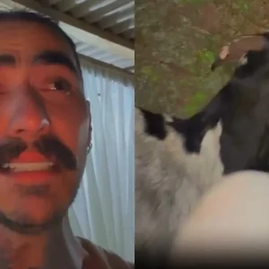Influenciador que viu OVNI encontra animal morto e diz sofrer ameaças: "O próximo sou eu?"