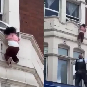 Heróis Improvisados: Policial e Cidadão Resgatam Criança Pendurada em Janela em Londres