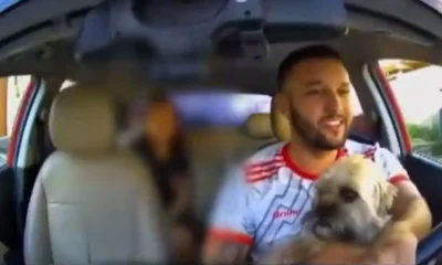 Motorista de App Reencontra Cão Perdido da Tia em Corrida no RJ; Vídeo Viraliza