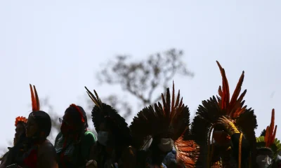 Crise Yanomami Persiste: Saúde, Fome e Violência Marcam Território Um Ano Após Emergência Sanitária