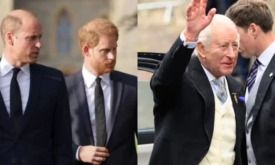 William entende visita de Harry ao Rei Charles, mas desconfia do irmão, diz fonte