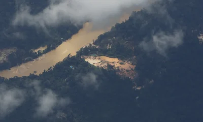 Amazônia é Dominada por Mais de 30 Facções Criminosas: Estudo Revela Nova Fronteira do Crime Global
