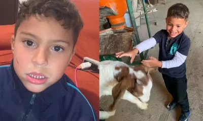 Corpo de menino autista é achado em biodigestor após buscas no Paraná