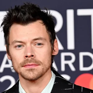 Harry Styles reage com preocupação após fã largar carrinho de bebê para pedir foto no México