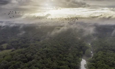 Geoglifos na Amazônia: Descobertas Revelam Civilização Gigante com Até 3 Milhões de Habitantes